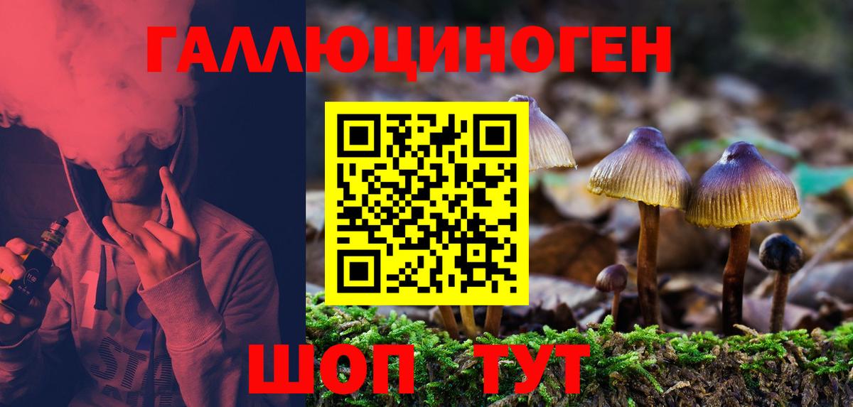 Псилоцибиновые грибы Psilocybe Печора